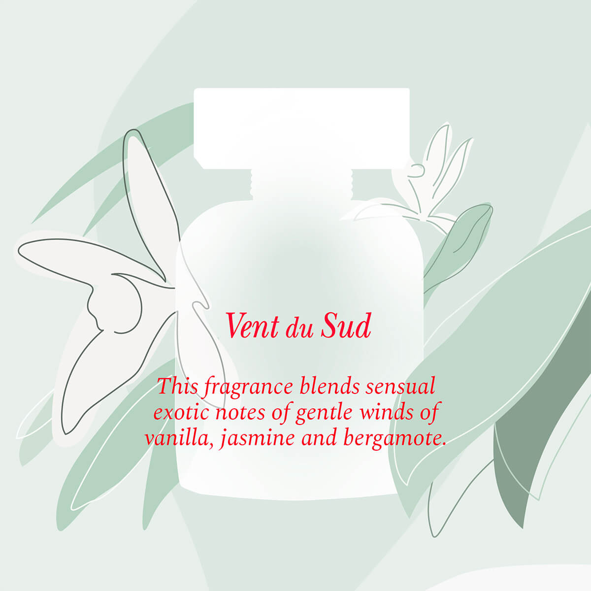 Vent du Sud Eau de Toilette Roll-On