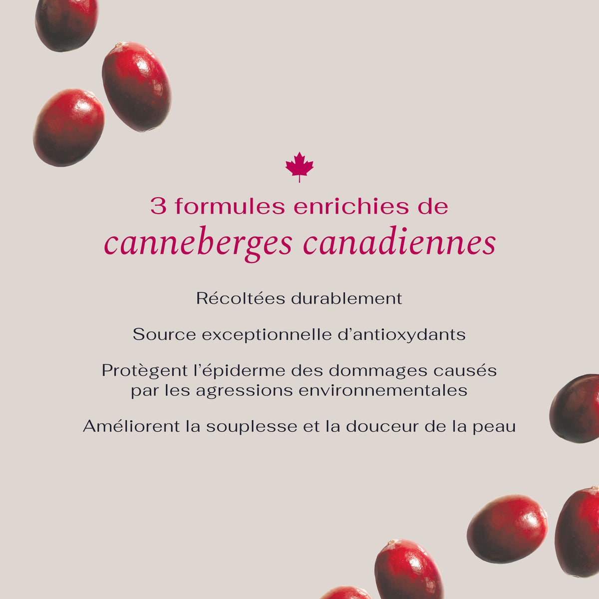 Solution Fraîcheur Crème moussante nettoyante