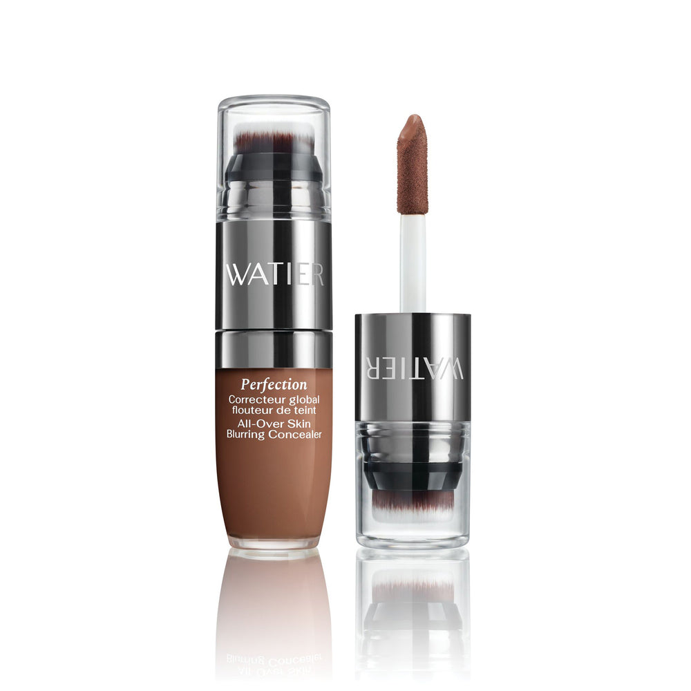 Perfection Correcteur Global Flouteur De Teint