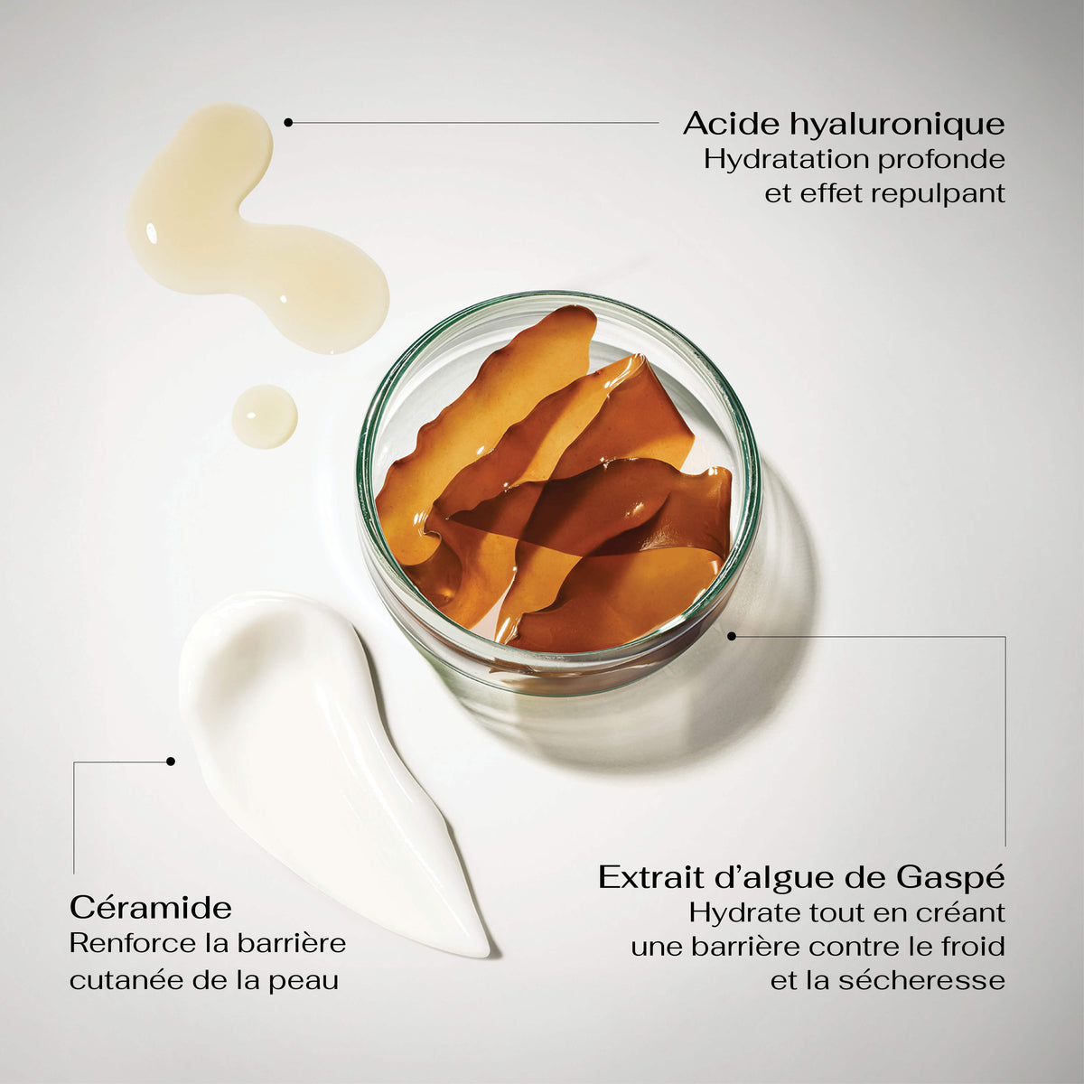 Hydraforce Baume lèvres hydra-repulpant