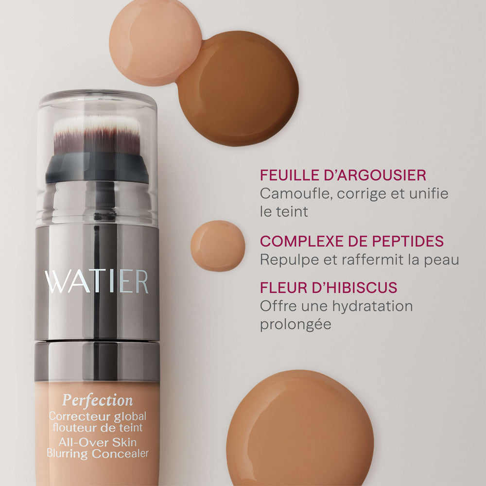 Perfection Correcteur Global Flouteur De Teint