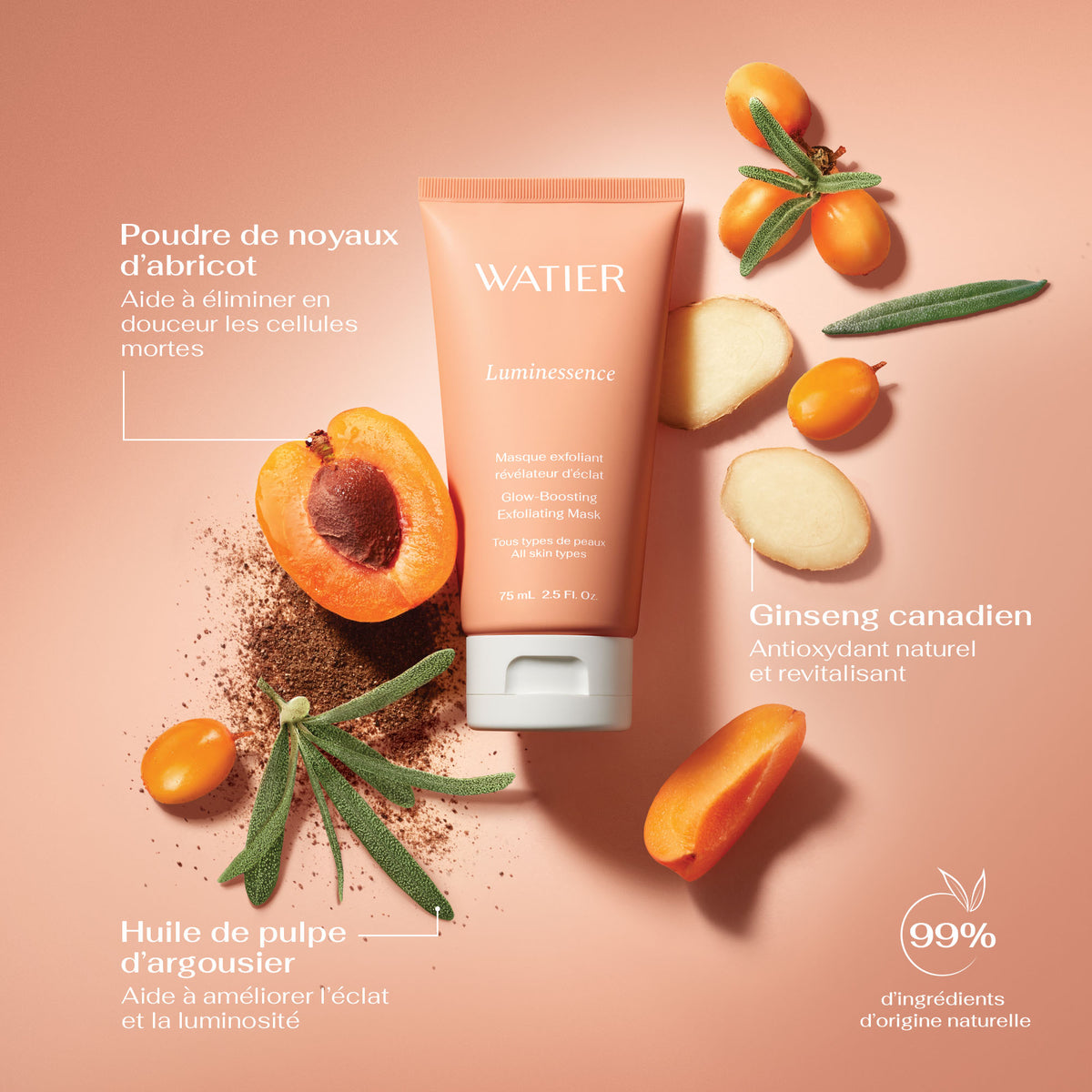 Luminessence Masque exfoliant révélateur d'éclat