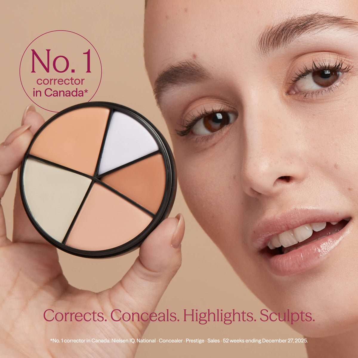 Portfolio Professional Correctors 4-in-1