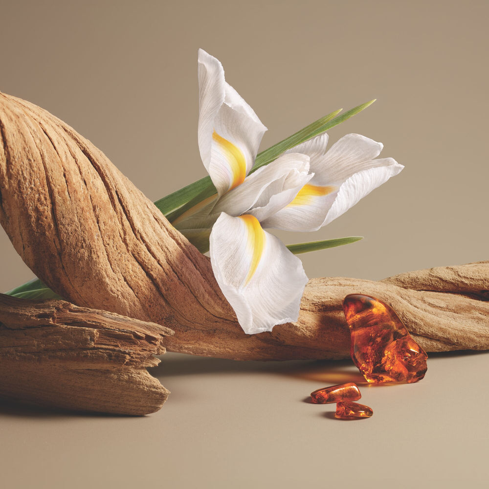 Neiges d'Ambre Eau de parfum vaporisateur